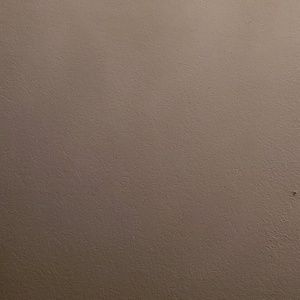 Meet your Posher, Misty